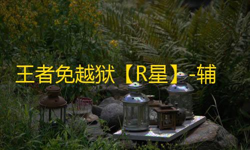 王者免越狱【R星】-辅助