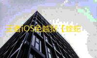 王者iOS免越狱【蝰蛇/透视/野怪技能CD计时/免越狱】辅助